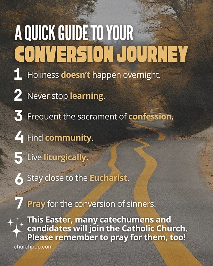 Conversion Journey Conversion is not a one time act, but rather a struggle and a lifelong journey to acquire the virtue of holiness.